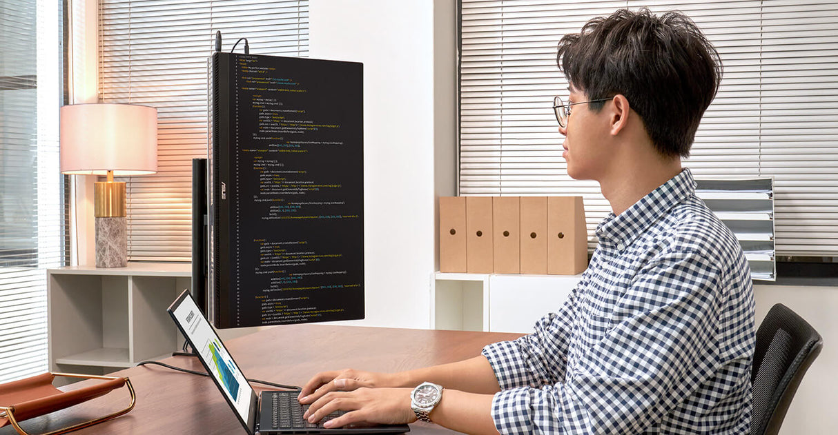 ASUS ZenScreen - MB249C
